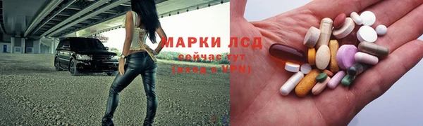 прущие грибы Нязепетровск