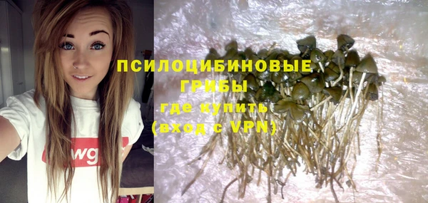 прущие грибы Нязепетровск