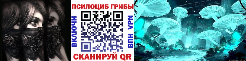 Галлюциногенные грибы Psilocybine cubensis  Александровск 