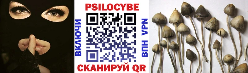 Псилоцибиновые грибы мухоморы Александровск