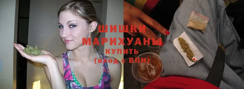 Шишки марихуана Amnesia  наркота  Александровск 